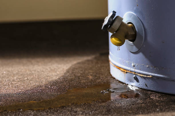 Best Sewage cleanup and water damage restoration  in West Wyomissing, PA