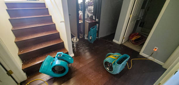 Best Water damage restoration near me  in West Wyomissing, PA