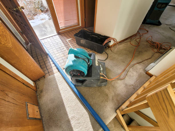 Best Professional water damage repair  in West Wyomissing, PA