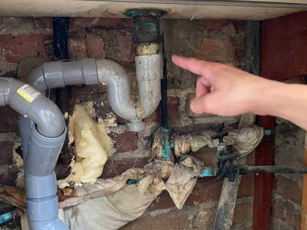 Best Flooded house restoration  in West Wyomissing, PA